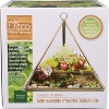 D'Eco Hanging Glass Triangle Plant Terrarium- Copper Geometric Planter Terrarium - Home, Garden & Office Decor- Gift for Plant Lovers - 4 of 4