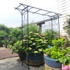 NicBex Metal Garden Trellis for Climbing Plants Outdoor L80.3" X W20.47" X H81.1" Metal Garden Trellis Rust-Proof Garden Arch, Black - 3 of 4