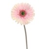 Floral Home 25" Cream Pink Gerbera - 24-Piece - 2 of 2