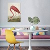 American Flamingo by John James Audubon Unframed Wall Canvas - iCanvas - 3 of 3