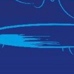 clear push pins bundle