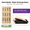 HAMAMA Home Microgreens Growing Kit - Sprouts Growing Kit, Sprouting Kit - Grow Your Own Micro Greens Indoor - 4 of 4