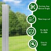 Acekool 24"x50ft Hardware Cloth, 16 Gauge Vinyl Coated Galvanized Wire Mesh, 2"x3" Fence Roll for Garden, Poultry, Plant & Tree Protection, Easy Cut - 3 of 4
