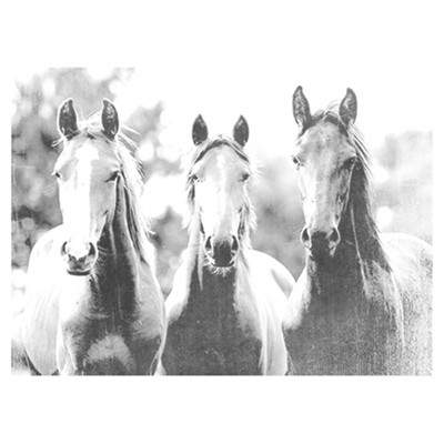 LOST GODS Girl's Lost Gods Black and White Horses T-Shirt - White - Medium — фото 2