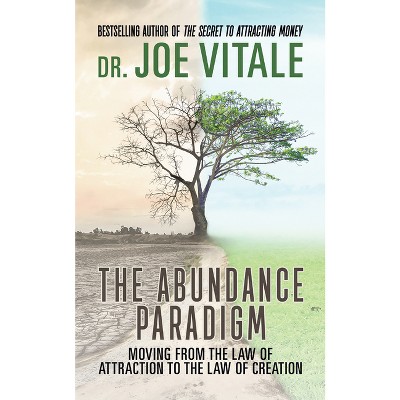 The Abundance Paradigm - by  Joe Vitale (Hardcover)