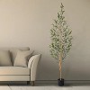 Forever Leaf 72" Artifical Olive Tree in Black Pot, Indoor Artificial Plant for Home Decor - 4 of 4