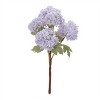 Hydrangea Floral Spray (Set of 2) - 2 of 4