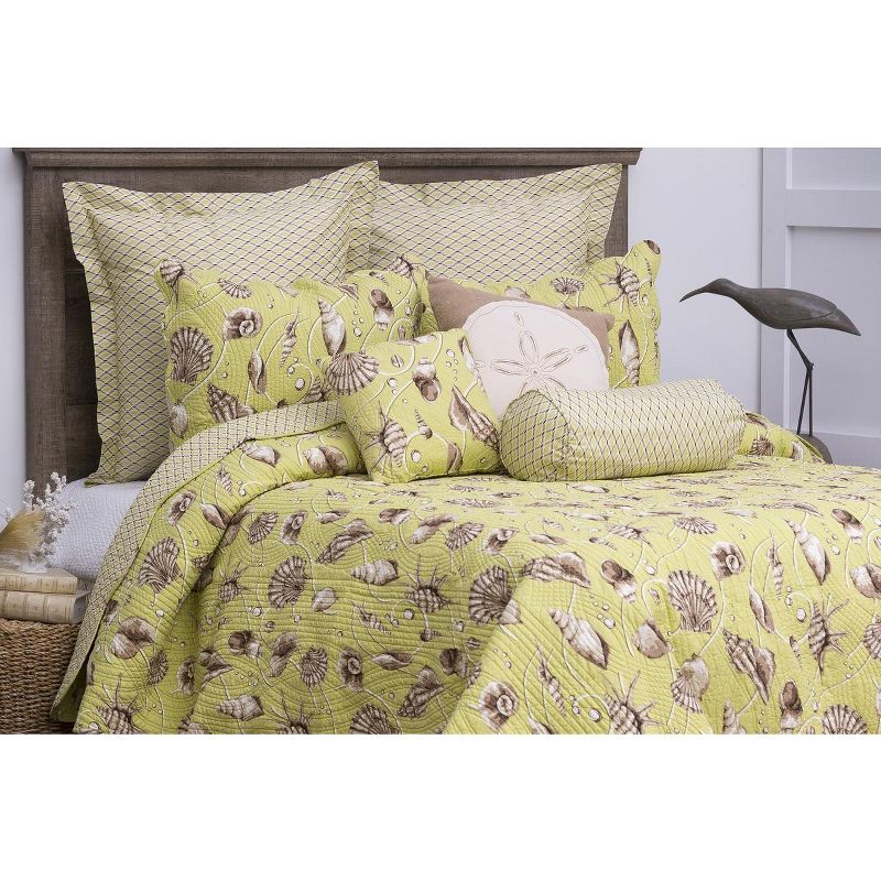 C&F Home Calypso Shells Cotton Quilt Set  - Reversible and Machine Washable, 2 of 7