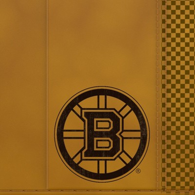 boston bruins