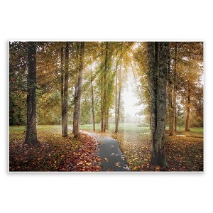 Stupell Industries Follow The Light Forest Path Wall Plaque Art - 1 of 4