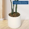 Artificial Eucalyptus Tree,Olive Tree,Artificial Plants Indoor, Suitable for Home Office Living Room,Slender Leaves,Fake Artificial Plant with Pot - 3 of 4