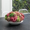 Waterdale Collection - Succulent Pink White Flower Pot - 3 of 3