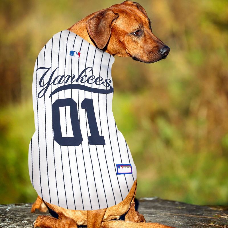 MLB New York Yankees Pets Jersey, 3 of 5