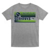 NFL Seattle Seahawks Toddler Boys' Gray 2pk T-Shirt - 2 of 3