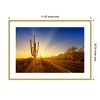 Amanti Art Saguaro National Park Setting Sun by Melanie Viola Wood Framed Wall Art Print - 3 of 4