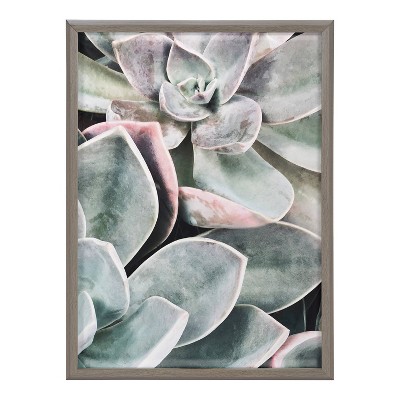 Blake Botanical Succulent Plants Framed Glass Wall Art, 18" x 24"