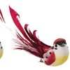 Gallerie II Bright Bird Clip Ornament Assortments of 6 - 2 of 4