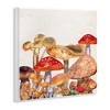 Stupell Industries Rustic Woodland Mushrooms, 12" x 12" - 3 of 4