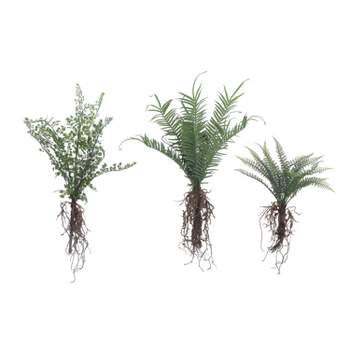Here's Why You Should Consider Artificial Ferns for Your Home — Artificial  Eden