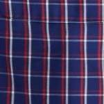 navy check