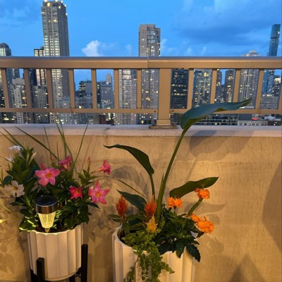 Guest review image 1 of 2, zoom in