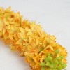 Northlight 44" Yellow/Green Foxtail Artificial Spring Crafting Stem - 2 of 3