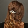 Unique Bargains Hair Clip Classic Hairdo Clip 1 Pc - 2 of 4