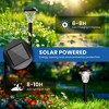 GIGALUMI 8 Pack Solar Outdoor Lights, Waterproof Cool White Pathway Lighting for Yard, Garden and Patio - 2 of 4