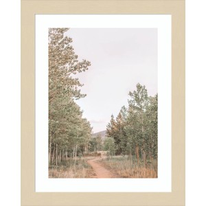 Amanti Art Winding Path by Alicia Abla Wood Framed Wall Art Print - 1 of 4