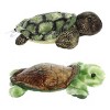 Aurora® Mini Flopsie™ Sealife Duo 8" Inch Plush Set, Splish & Splish-Splash Sea Turtle - 2 of 4