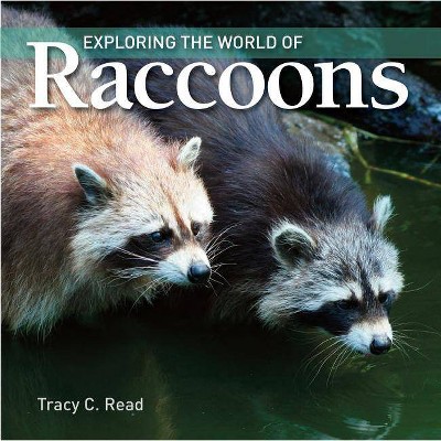 Exploring the World of Raccoons - (Exploring the World of (Paperback)(Firefly Books)) by  Tracy Read (Paperback)