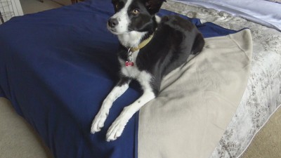 King Size Beige Reversible Waterproof Fleece Blanket
