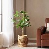 NicBex Artificial Tree 4FT Artificial Pachira Aquatica Pachira Macrocarpa Indoor with Natural Wood Trunk for Home, Foyer - 3 of 4