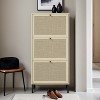 Freestanding Shoe Storage Cabinet with Rattan 3 Door Shoe Rack - Leovsnove - 2 of 4
