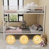 Sapphtopaz Twin Over Full Bunk Bed with Ladder & Guardrail, Heavy-duty Bunkbed Frame with for Bedroom, No Box Spring Needed - 3 of 4