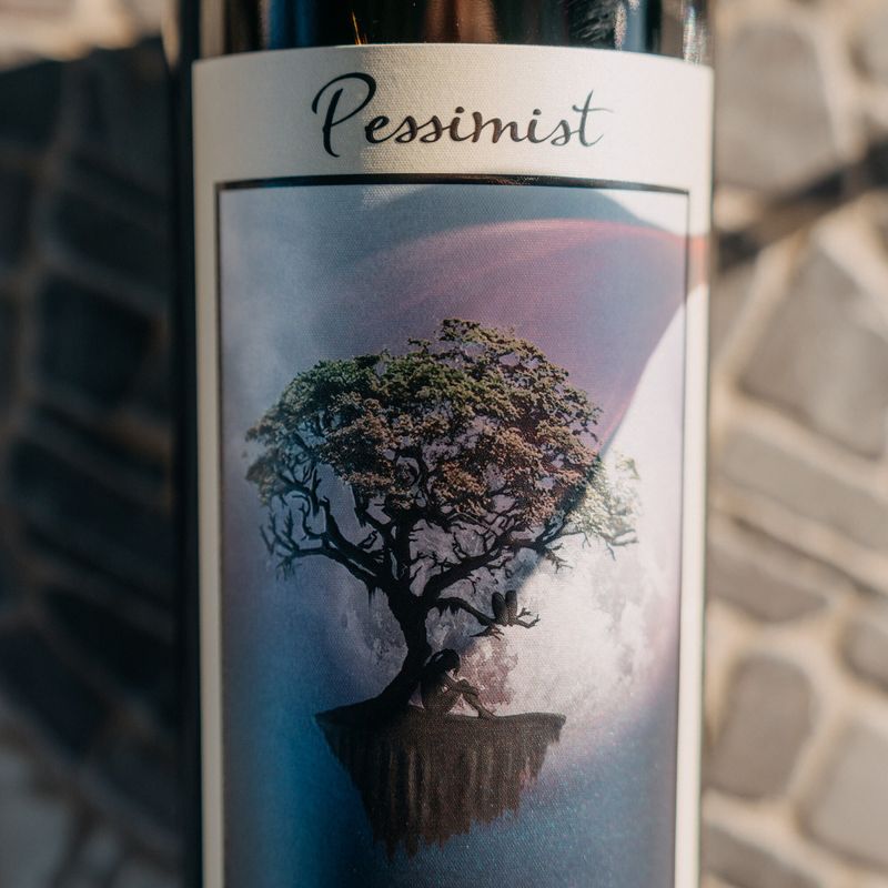 DAOU Pessimist Red Blend Red Wine - 750ml Bottle, 6 of 8