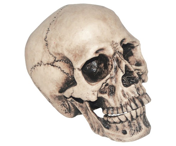 7 "Halloween Vinyl Skull