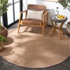 Retreat RTE258 Power Loomed UV Resistant, Stain Resistant, Non-Shedding Indoor/Outdoor Rugs - Safavieh - 3 of 4