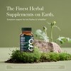 Gaia Herbs Menopause Support Daytime - Helps Maintain Healthy Hormone Balance and Well-Being for Women - 60 Vegan Liquid Phyto-Capsules - 3 of 4