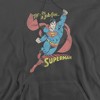 Dc On The Job Adult Pull-Over Hoodie - 2 of 4