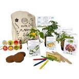 Hortiki Plants Organic Garden Kit
