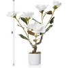 2 Pack Artificial Magnolia Tree,Realistic Faux Pink Plant with 12 Bloomings,Sturdy White Pot,Realistic Magnolia Grandiflora for Living Room,Office - 2 of 4