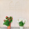 Dolonm 2 Pack Cream White Garden Trellis 86.7" H - Rustproof Metal Plant Support for Roses/Ivy, Heavy Duty & Easy Assembly - 2 of 4