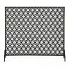 NicBex Lattice Fireplace Screen Fireplace Cover Large Double Panel with Hinged Doors for Living Room - 3 of 4