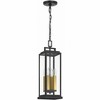 Crystorama Lighting Aspen 4 - Light Pendant in  Matte Black - 4 of 4