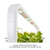 Click & Grow Indoor Steak Seasoning Gardening Kit, Smart Garden 3 with Grow Light and 12 Plant Pods - 4 of 4