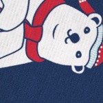 navy polar bears