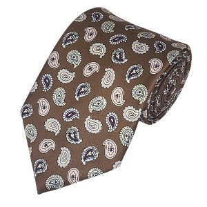 Men's Paisley Printed Design 100% Micro Fiber 3.25" W x 58" L Necktie - 1 of 3