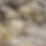 light gray, medium gray, off white, rust, charcoal