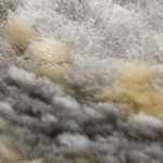 light gray, medium gray, off white, rust, charcoal
